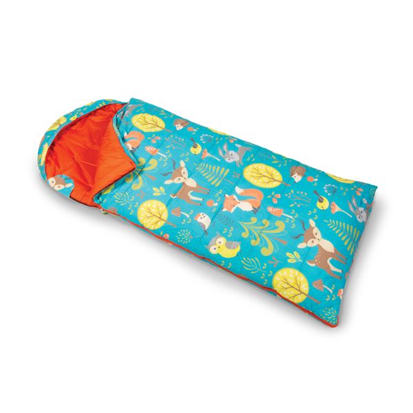 The Best Toddler Sleeping Bags  Henry and Andrews Guide