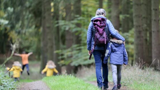 Festive Fun for your Boxing Day Walk