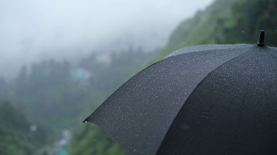 How to Cook in the Rain and Wind on the Campsite