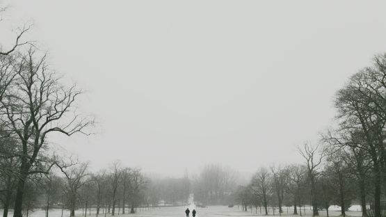 5 Magical Christmas Walks