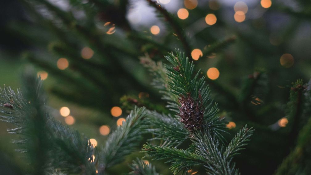 Best Christmas Walks around Historic Houses in the UK