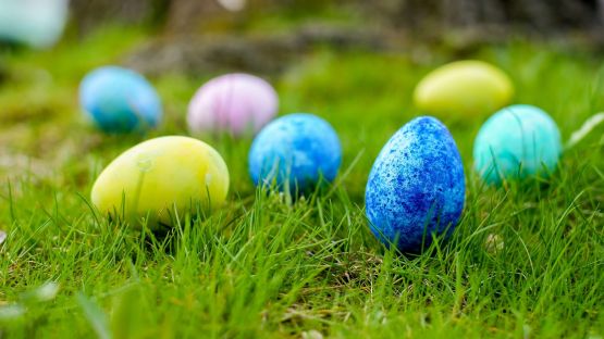 Easter Camping Activities