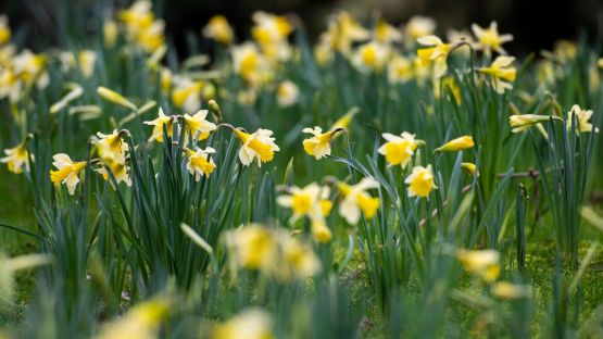 5 Easter Holiday Activities in Gloucestershire
