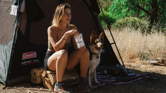 Camping and Caravanning with Dogs: Everything you need to know