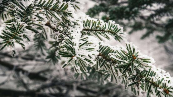 UK Campsites Open at Christmas