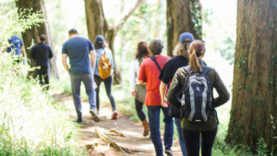 Activities to Make the Most of the Outdoors this Winter