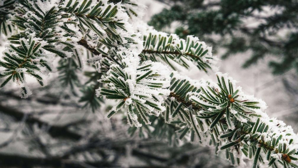 UK Campsites Open at Christmas